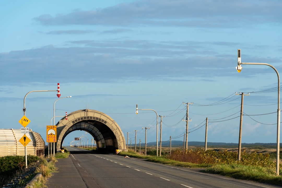 f:id:unyora-d:20210131083949j:plain