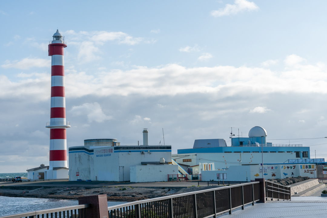 f:id:unyora-d:20210131110123j:plain