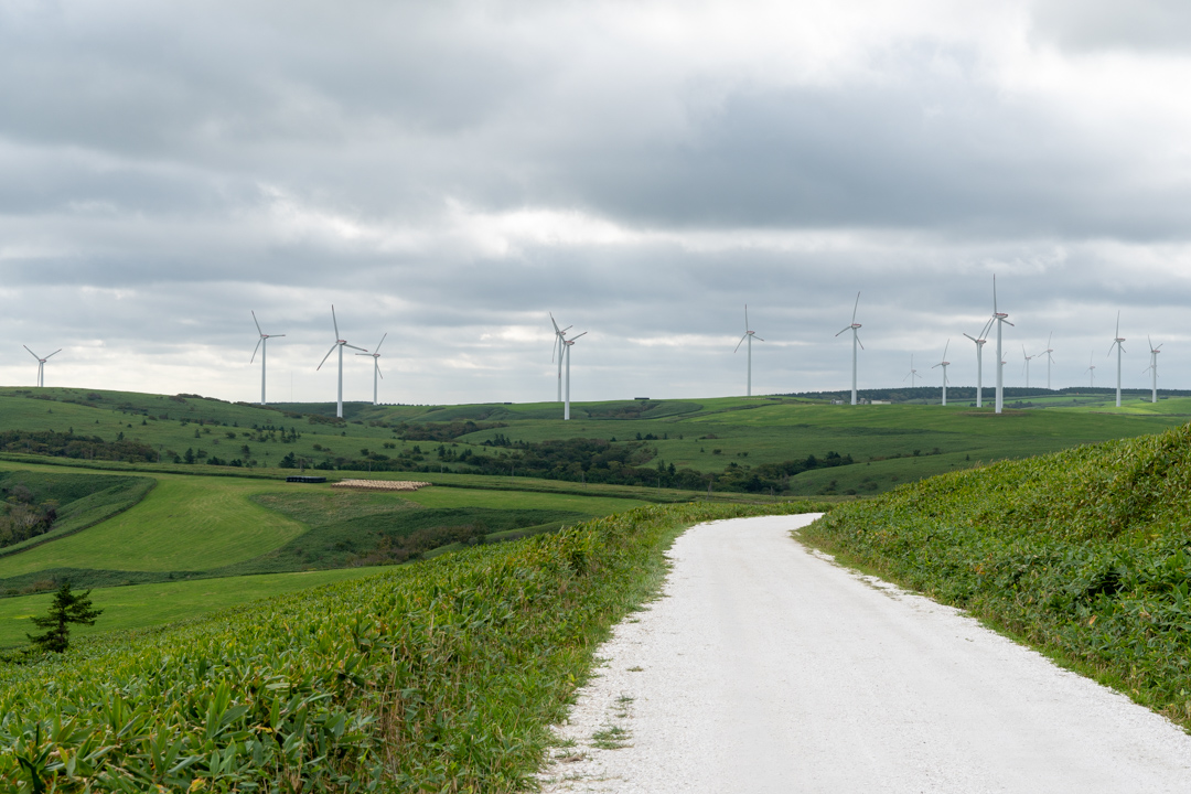 f:id:unyora-d:20210131211314j:plain