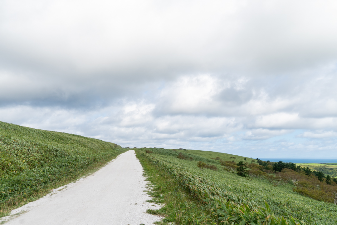 f:id:unyora-d:20210131212345j:plain