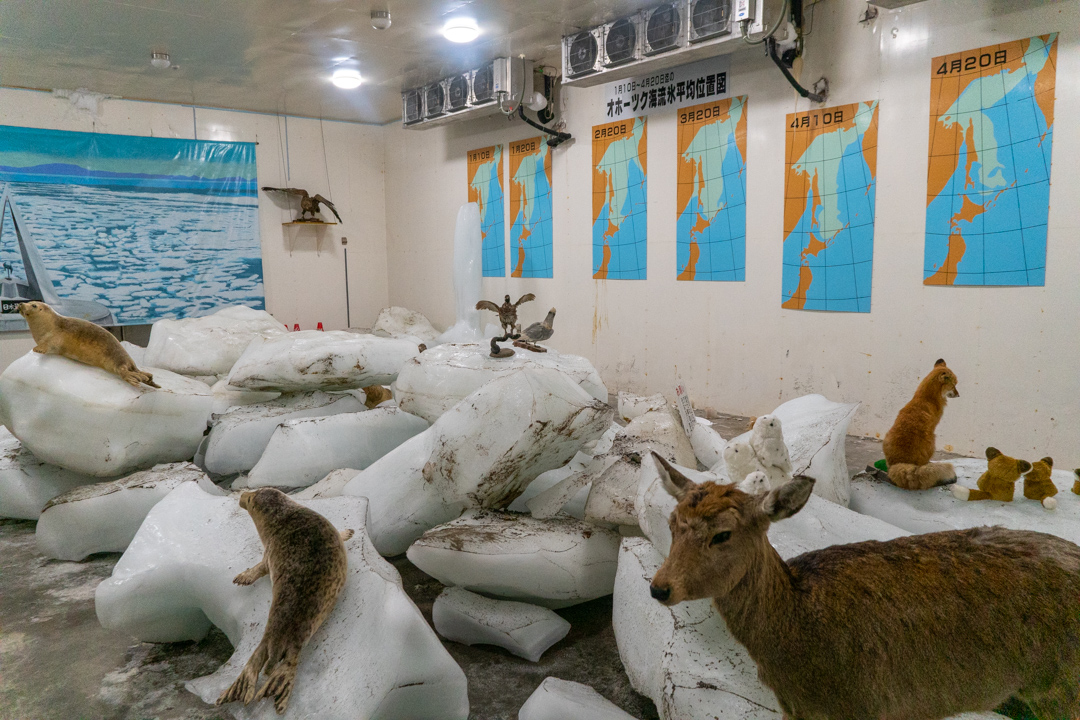 f:id:unyora-d:20210131234732j:plain