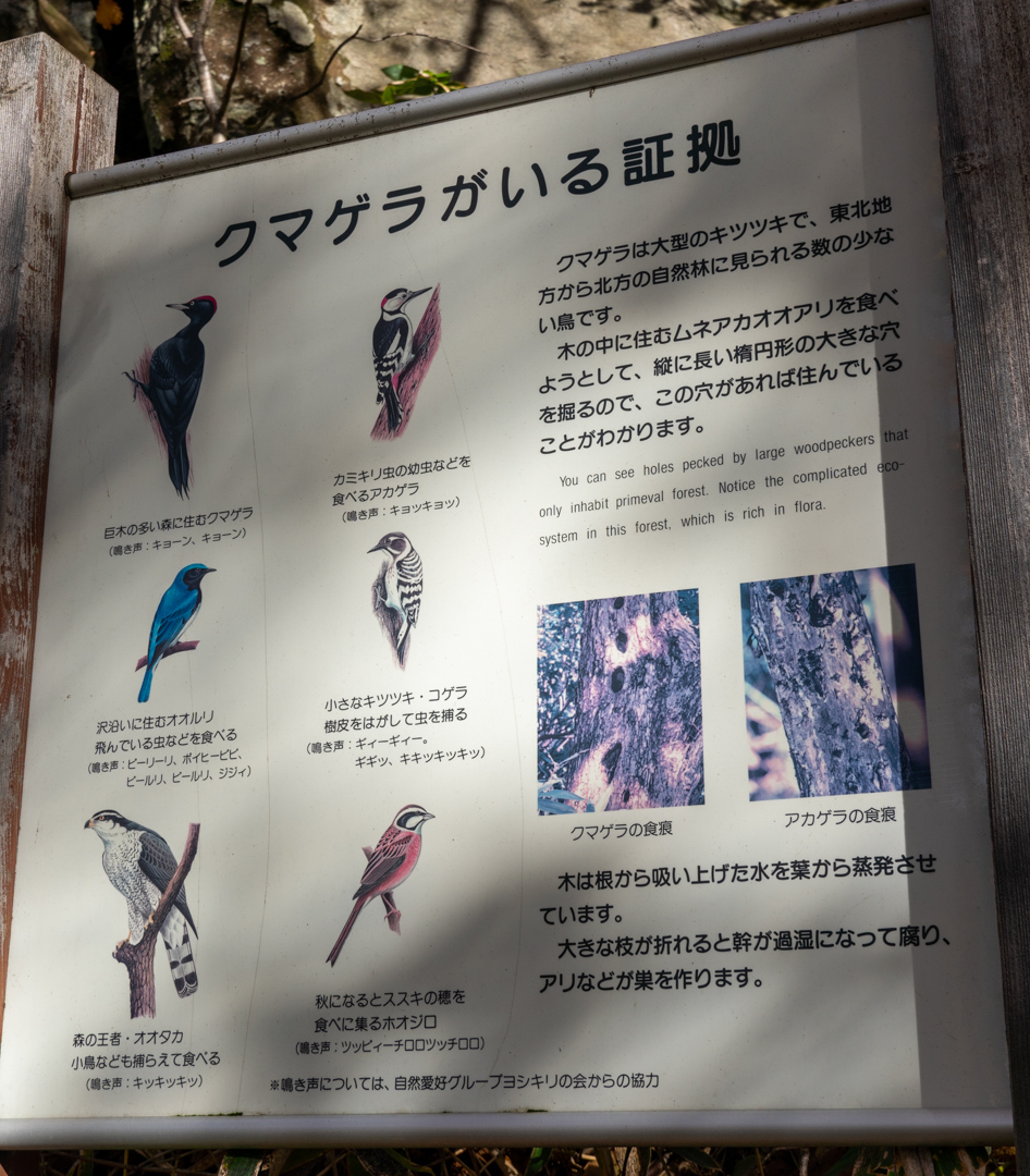 f:id:unyora-d:20210430012019j:plain