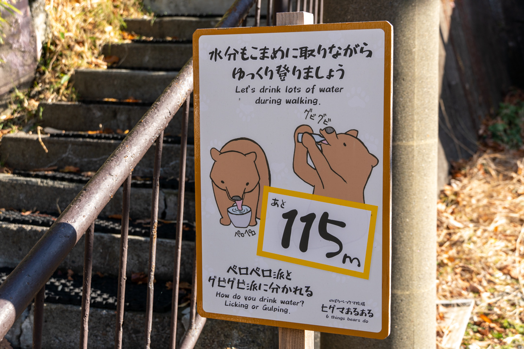 f:id:unyora-d:20210430012552j:plain