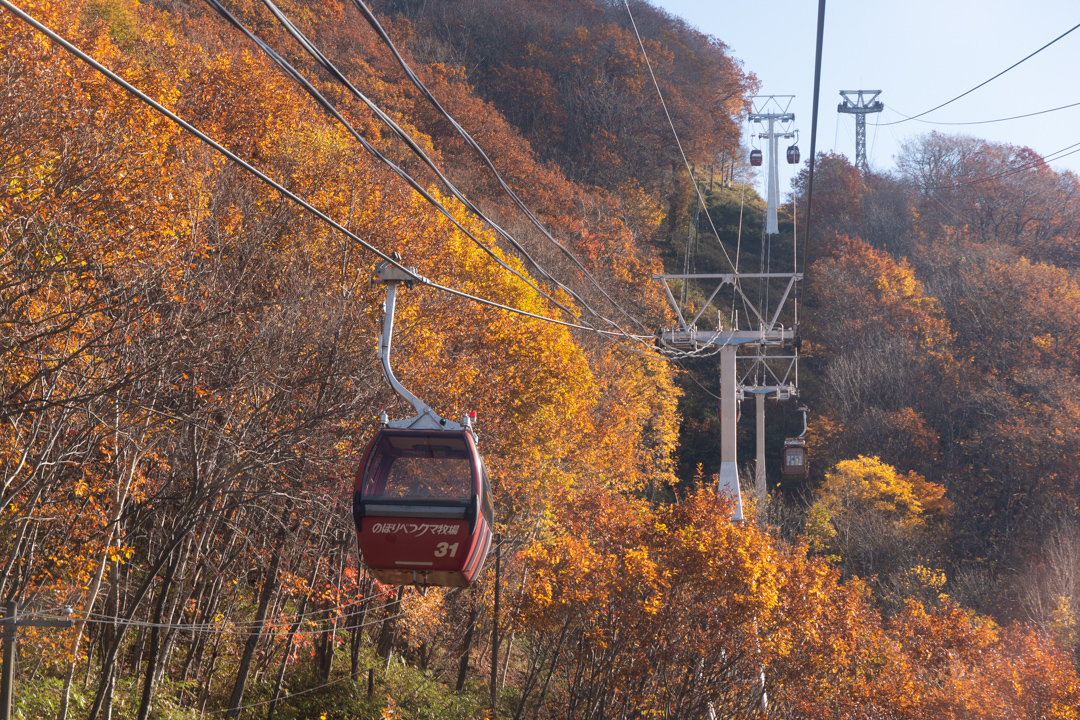 f:id:unyora-d:20210502185812j:plain