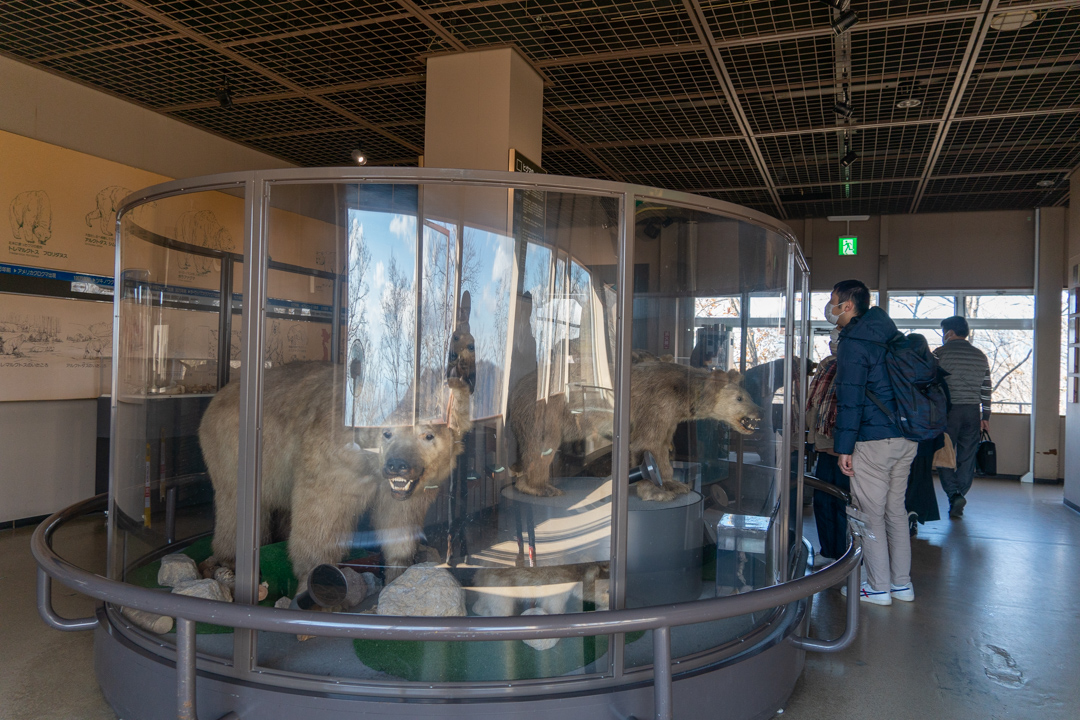 f:id:unyora-d:20210503005459j:plain