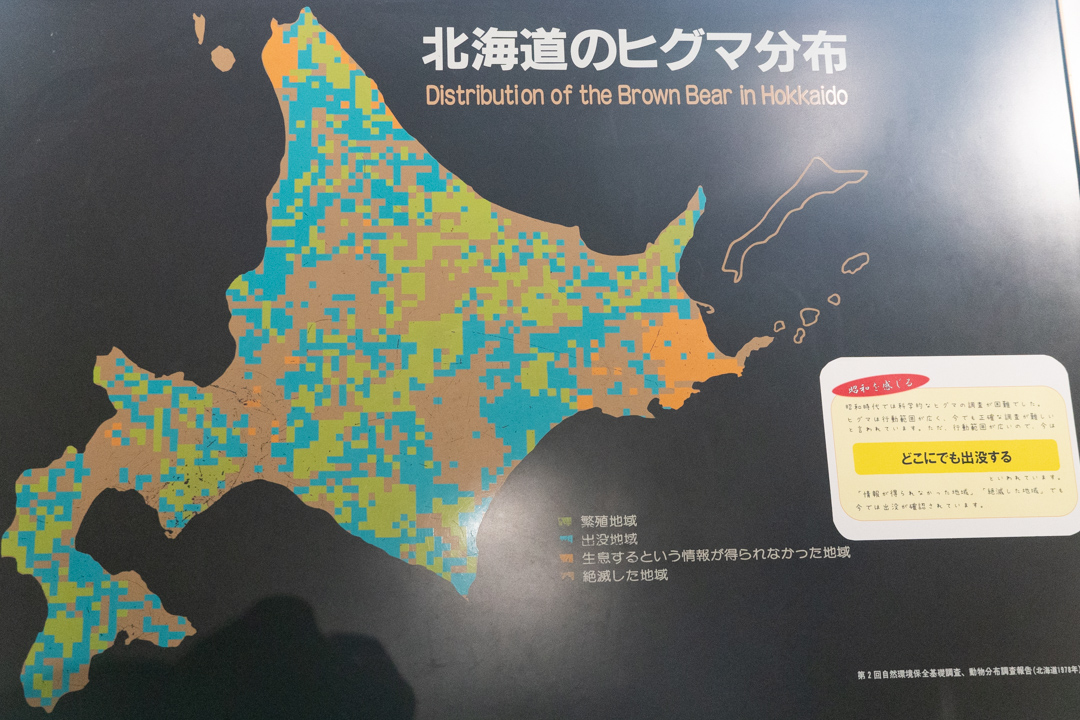 f:id:unyora-d:20210503005827j:plain