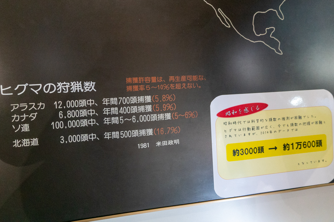 f:id:unyora-d:20210503005844j:plain