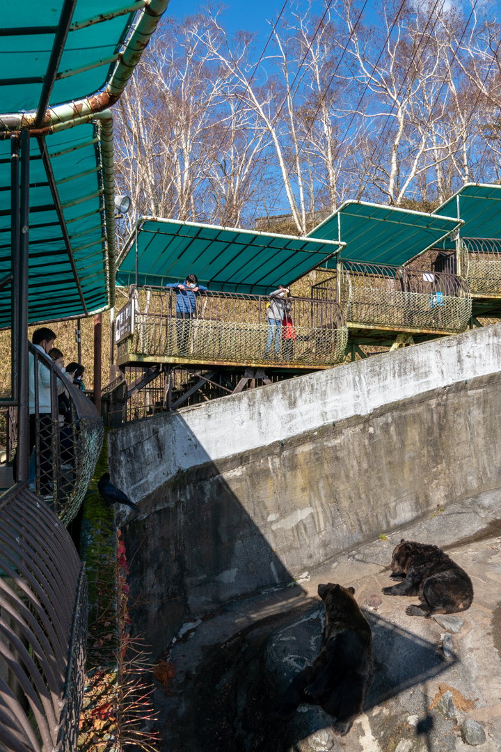 f:id:unyora-d:20210504005722j:plain