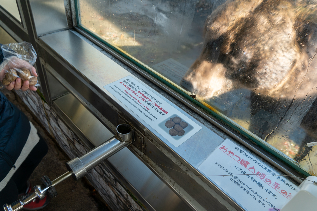 f:id:unyora-d:20210504151004j:plain