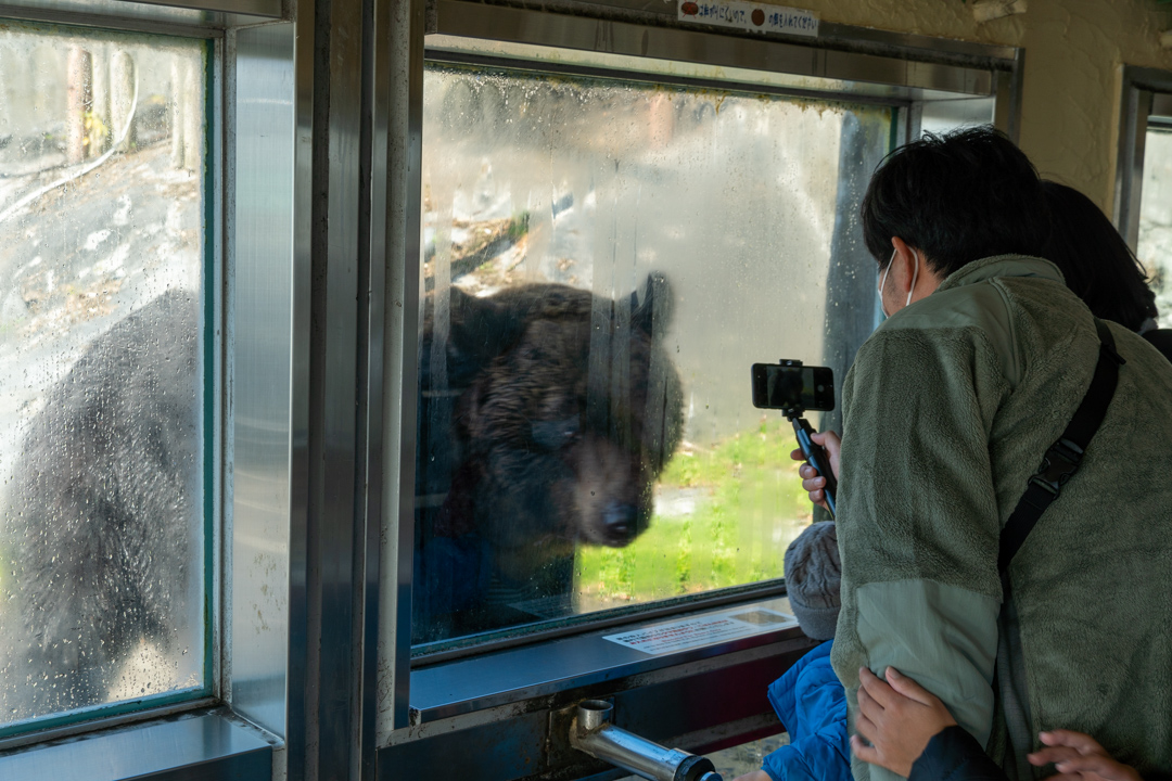 f:id:unyora-d:20210504151249j:plain