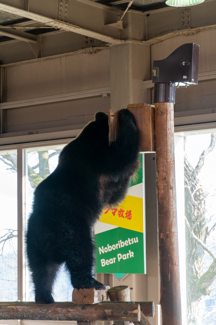 f:id:unyora-d:20210504154045j:plain