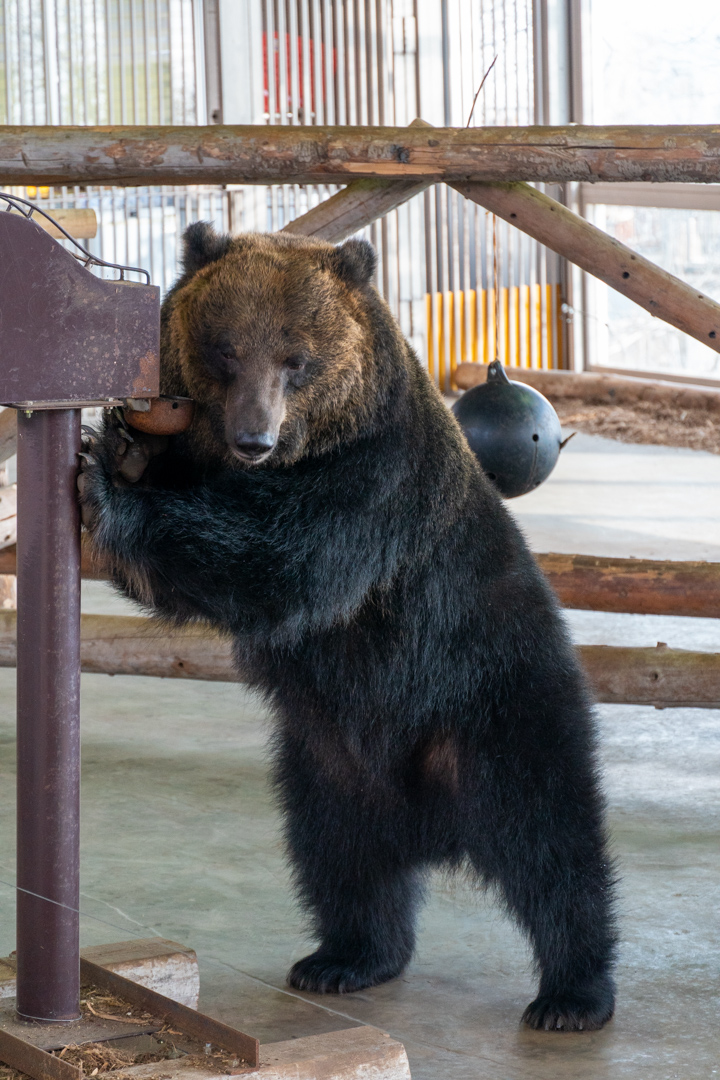 f:id:unyora-d:20210504154248j:plain