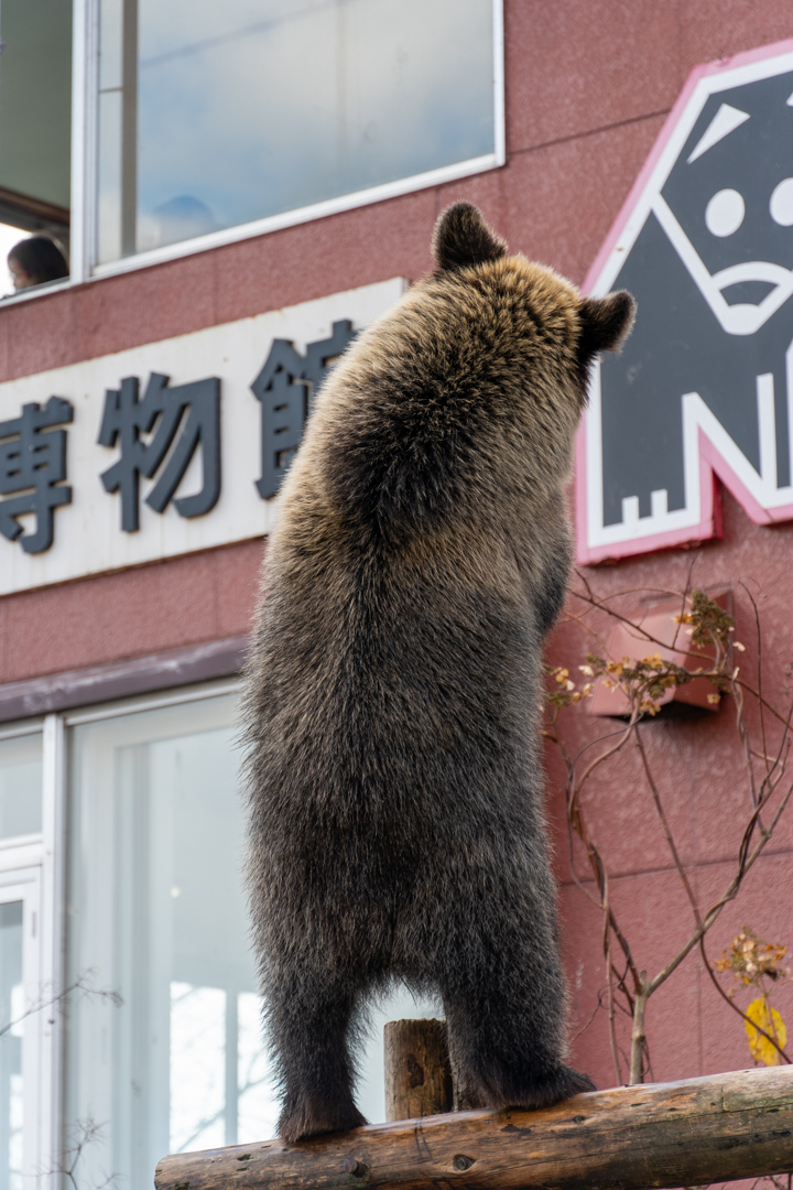 f:id:unyora-d:20210504155750j:plain