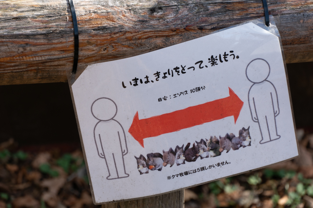 f:id:unyora-d:20210504161144j:plain