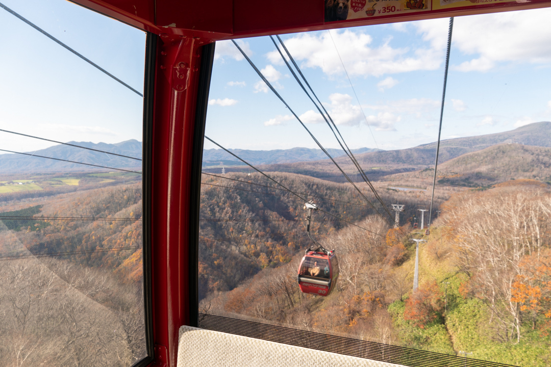 f:id:unyora-d:20210504162316j:plain