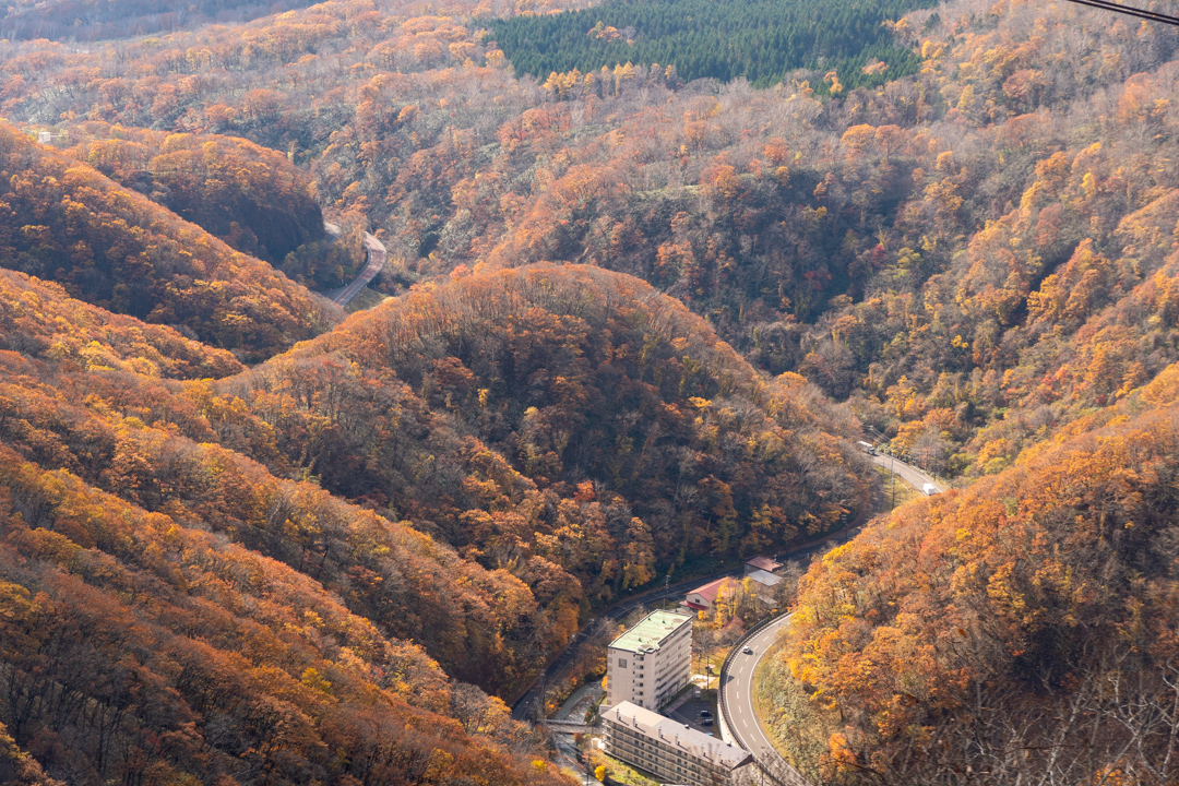 f:id:unyora-d:20210504162727j:plain