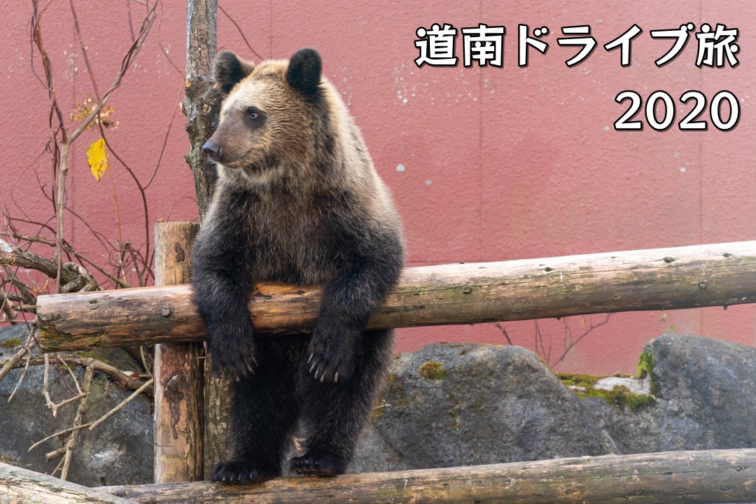 f:id:unyora-d:20210504165336j:plain