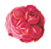 rose_1