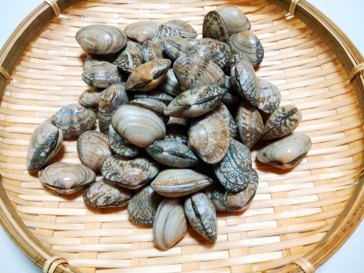f:id:uokatsu:20210321200842j:plain