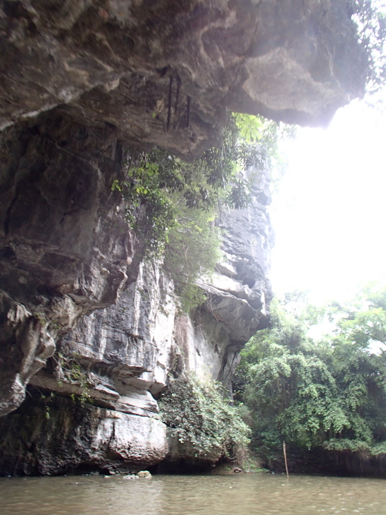 f:id:uongruou:20180719221153j:plain