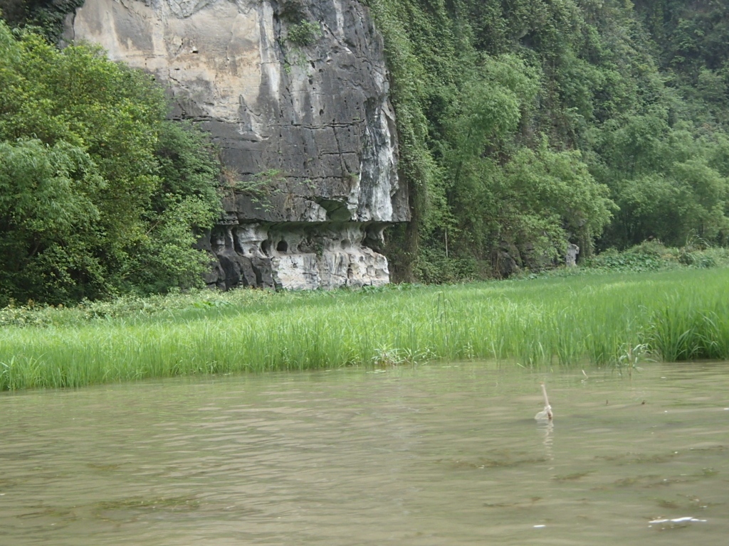 f:id:uongruou:20180719221302j:plain