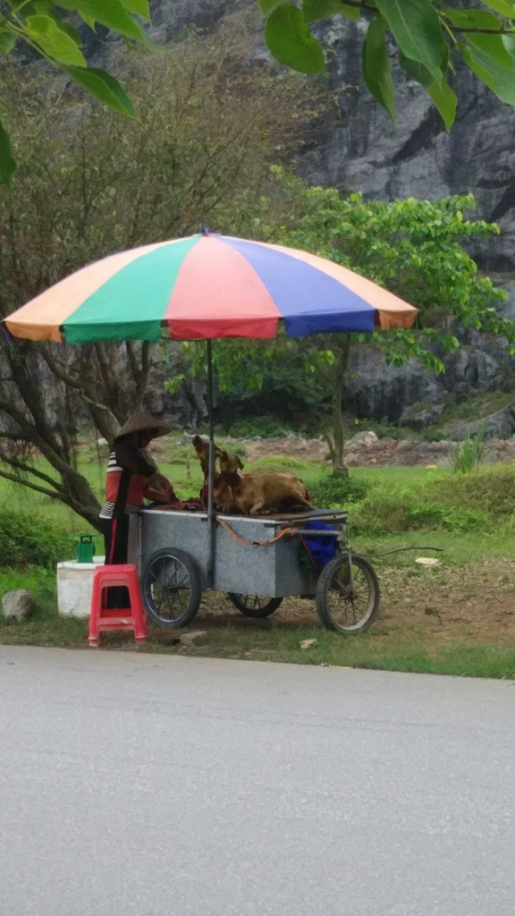 f:id:uongruou:20180722210812j:plain f:id:uongruou:20180722210812j:plain