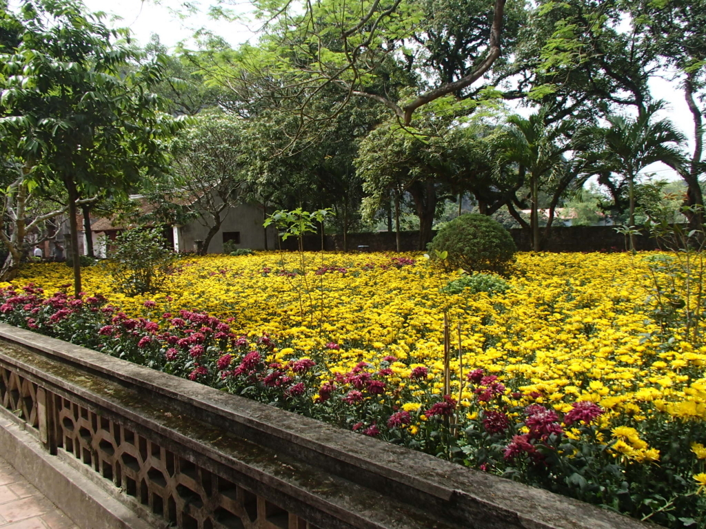 f:id:uongruou:20180722211244j:plain f:id:uongruou:20180722211244j:plain