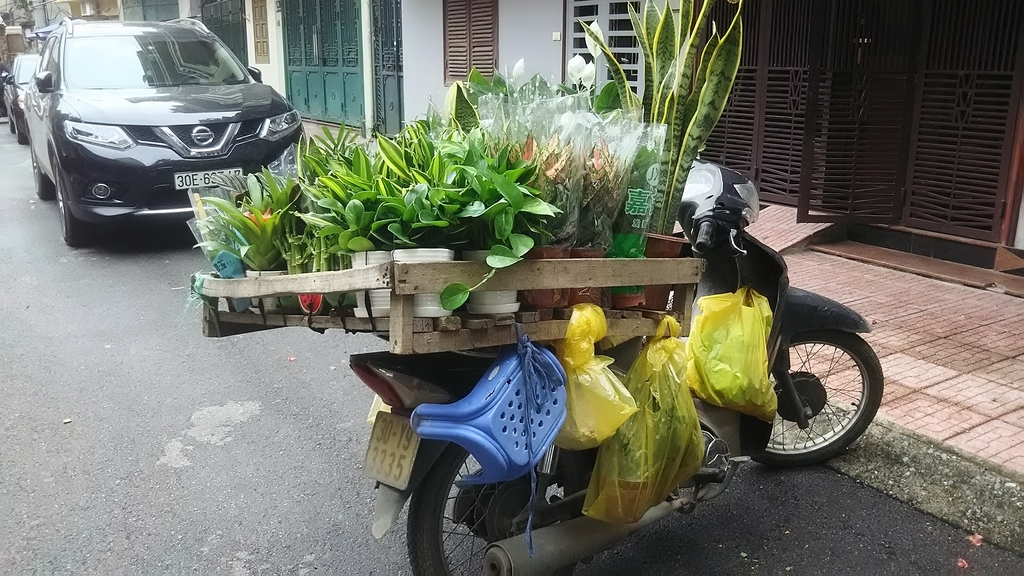 f:id:uongruou:20181116153320j:plain f:id:uongruou:20181116153320j:plain