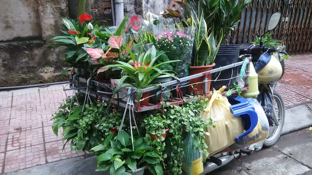 f:id:uongruou:20181116153355j:plain f:id:uongruou:20181116153355j:plain