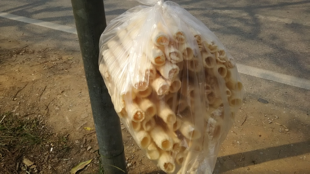 f:id:uongruou:20190303191804j:plain f:id:uongruou:20190303191804j:plain