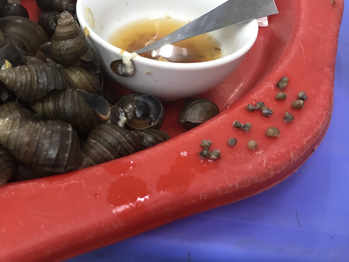 f:id:uongruou:20190613145855j:plain