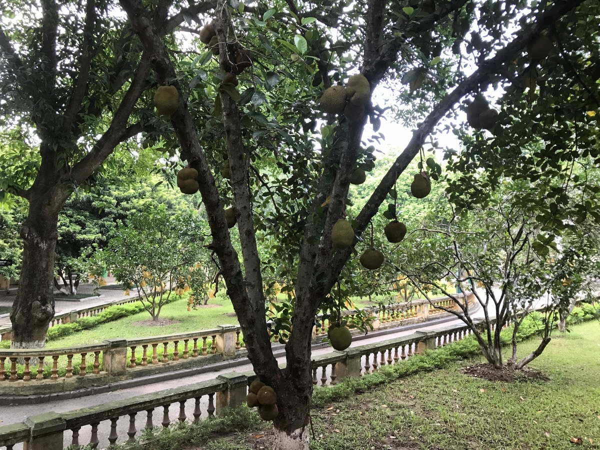 f:id:uongruou:20190909001737j:plain f:id:uongruou:20190909001737j:plain