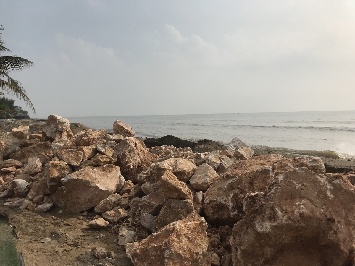 f:id:uongruou:20191023164538j:plain f:id:uongruou:20191023164538j:plain