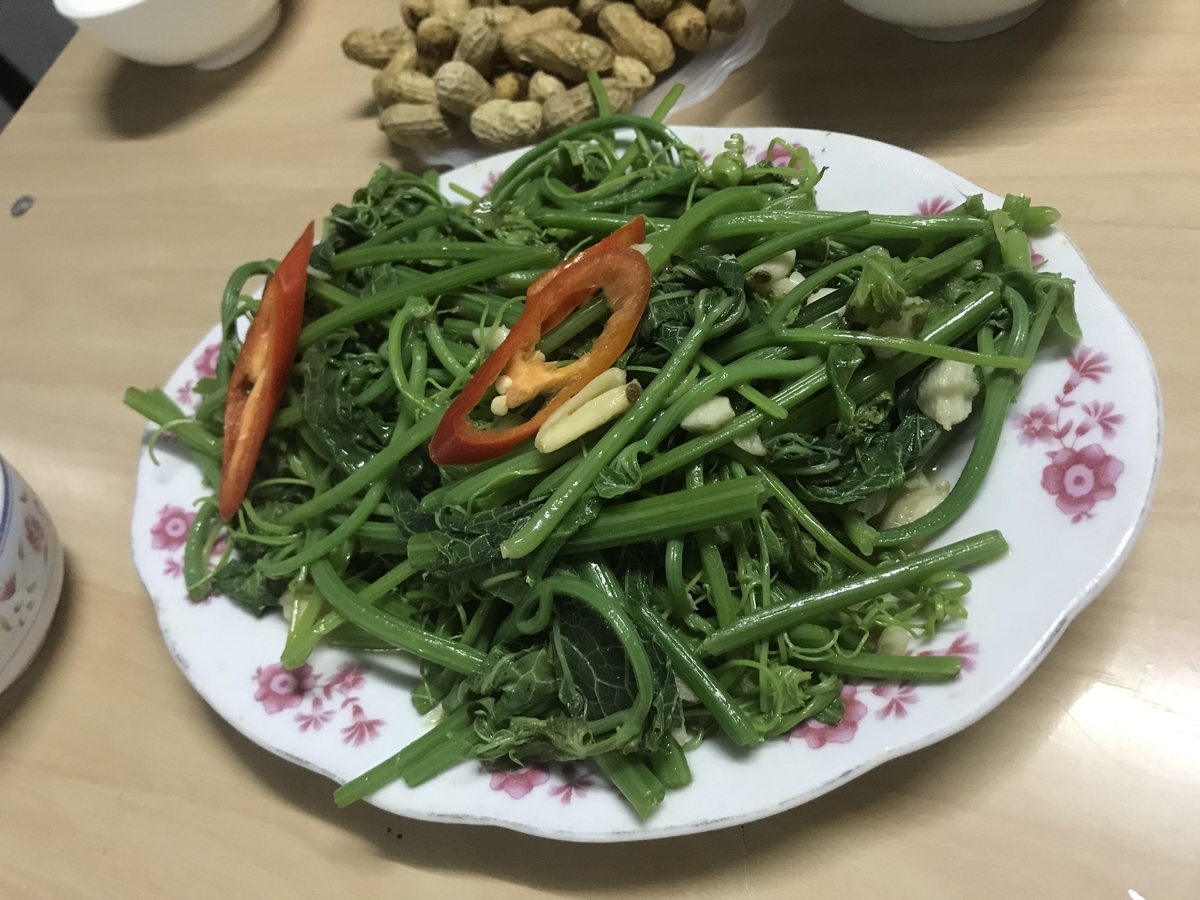 f:id:uongruou:20191120141258j:plain