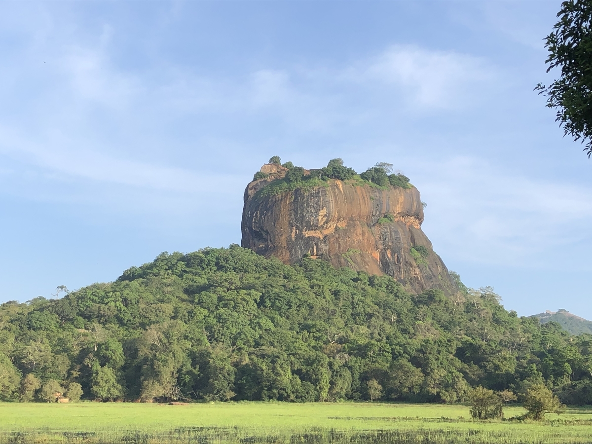 f:id:uongruou:20200101185840j:plain f:id:uongruou:20200101185840j:plain