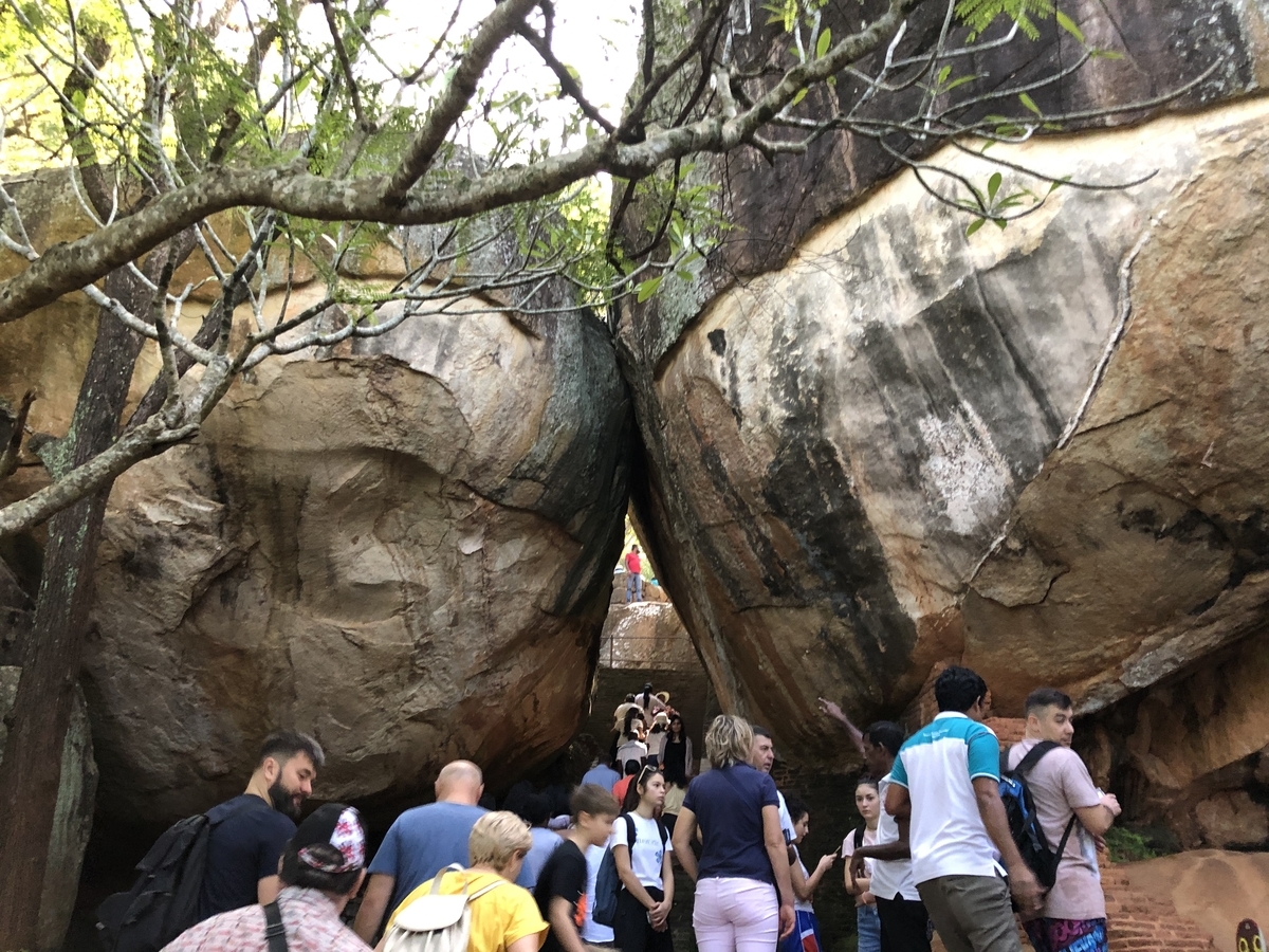 f:id:uongruou:20200101190322j:plain f:id:uongruou:20200101190322j:plain