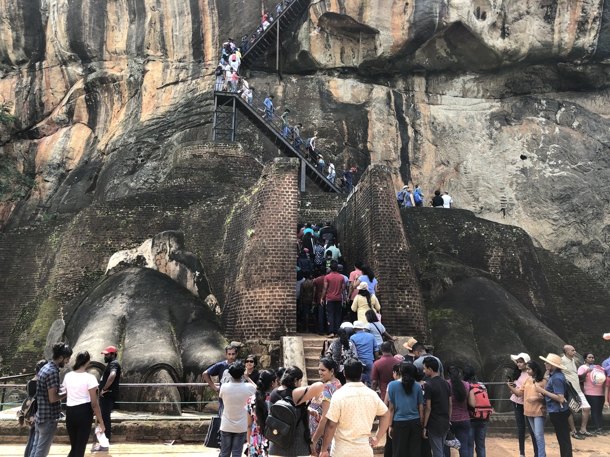 f:id:uongruou:20200101190543j:plain f:id:uongruou:20200101190543j:plain