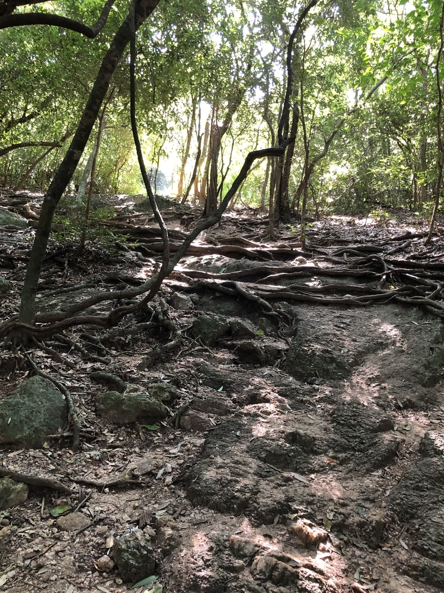 f:id:uongruou:20200102192037j:plain