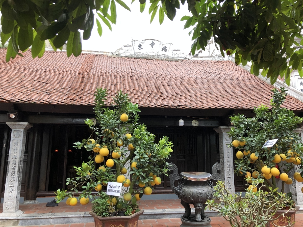 f:id:uongruou:20200105170327j:plain f:id:uongruou:20200105170327j:plain