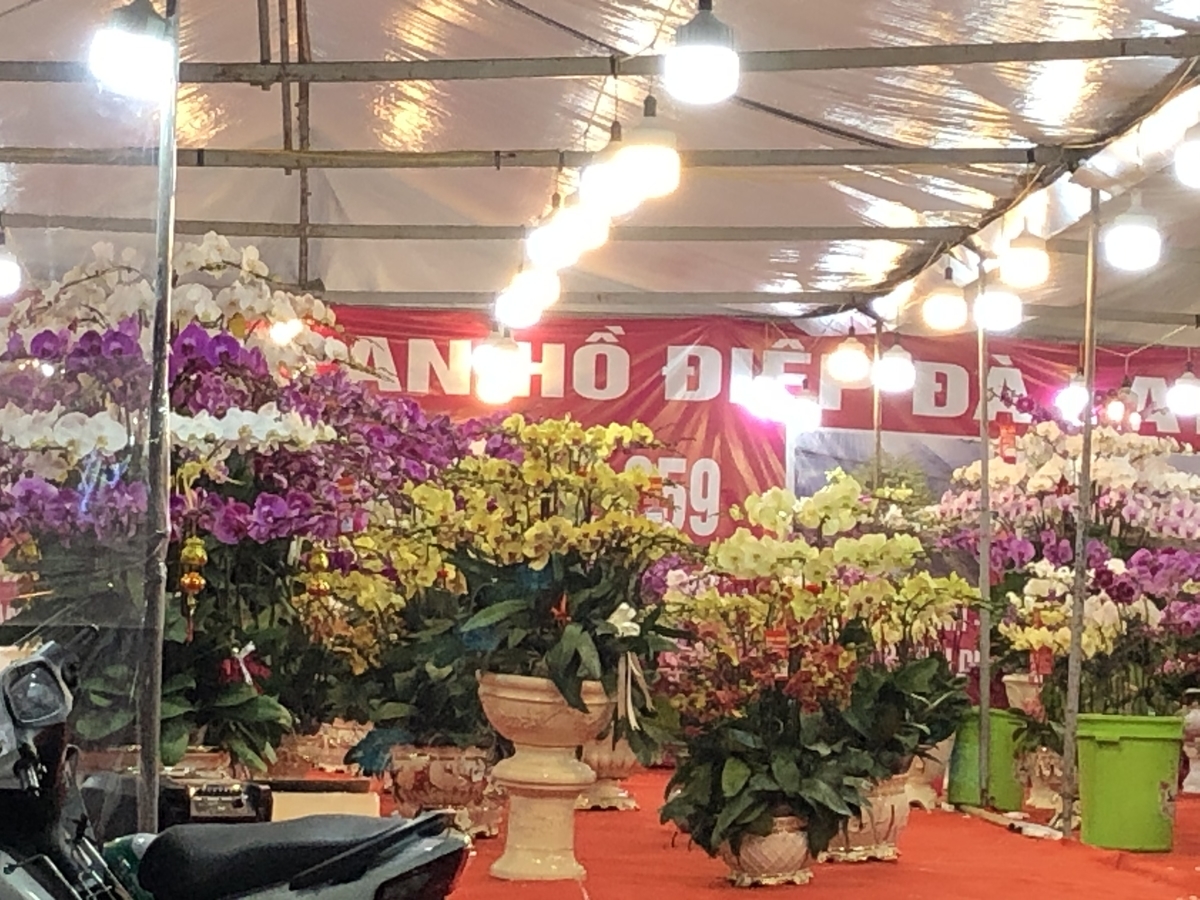 f:id:uongruou:20200105170530j:plain f:id:uongruou:20200105170530j:plain