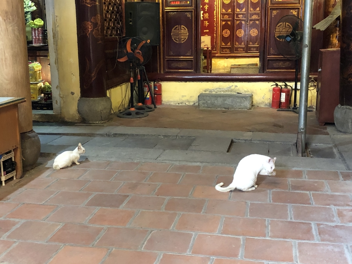 f:id:uongruou:20200216192821j:plain