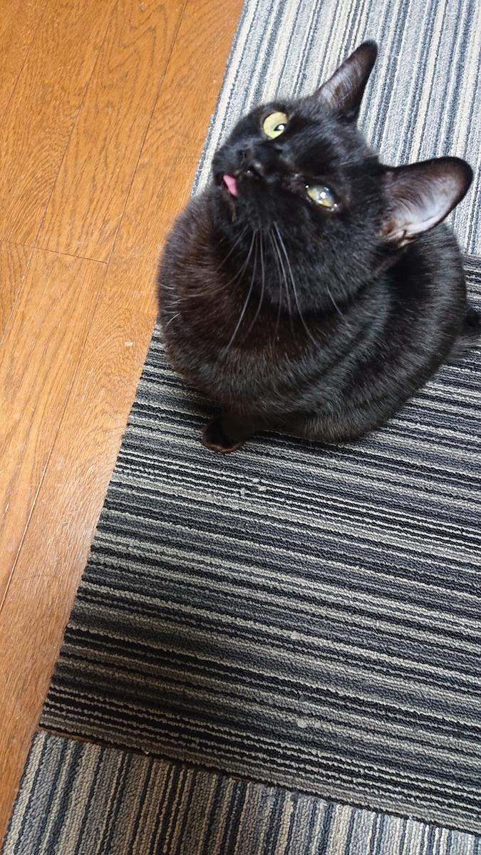 f:id:uoomee:20200430130244j:plain f:id:uoomee:20200430130244j:plain