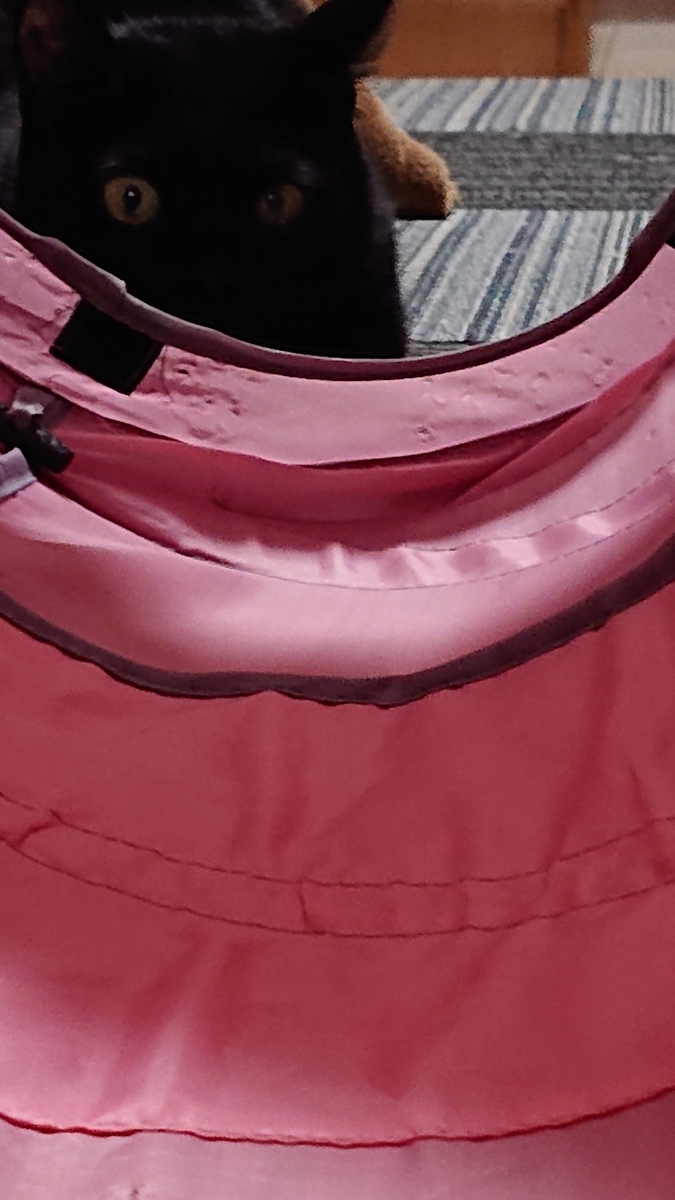 f:id:uoomee:20200502233904j:plain f:id:uoomee:20200502233904j:plain