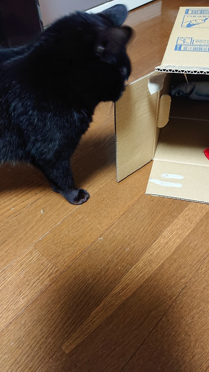 f:id:uoomee:20200503105843j:plain f:id:uoomee:20200503105843j:plain