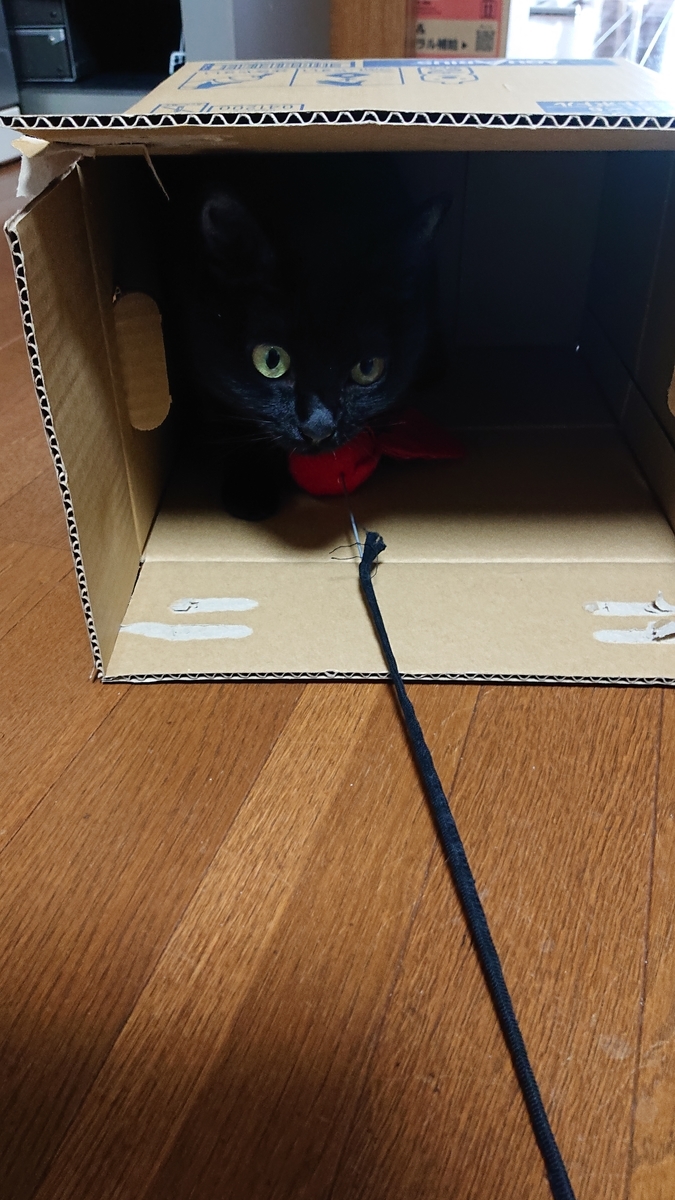 f:id:uoomee:20200503110042j:plain f:id:uoomee:20200503110042j:plain