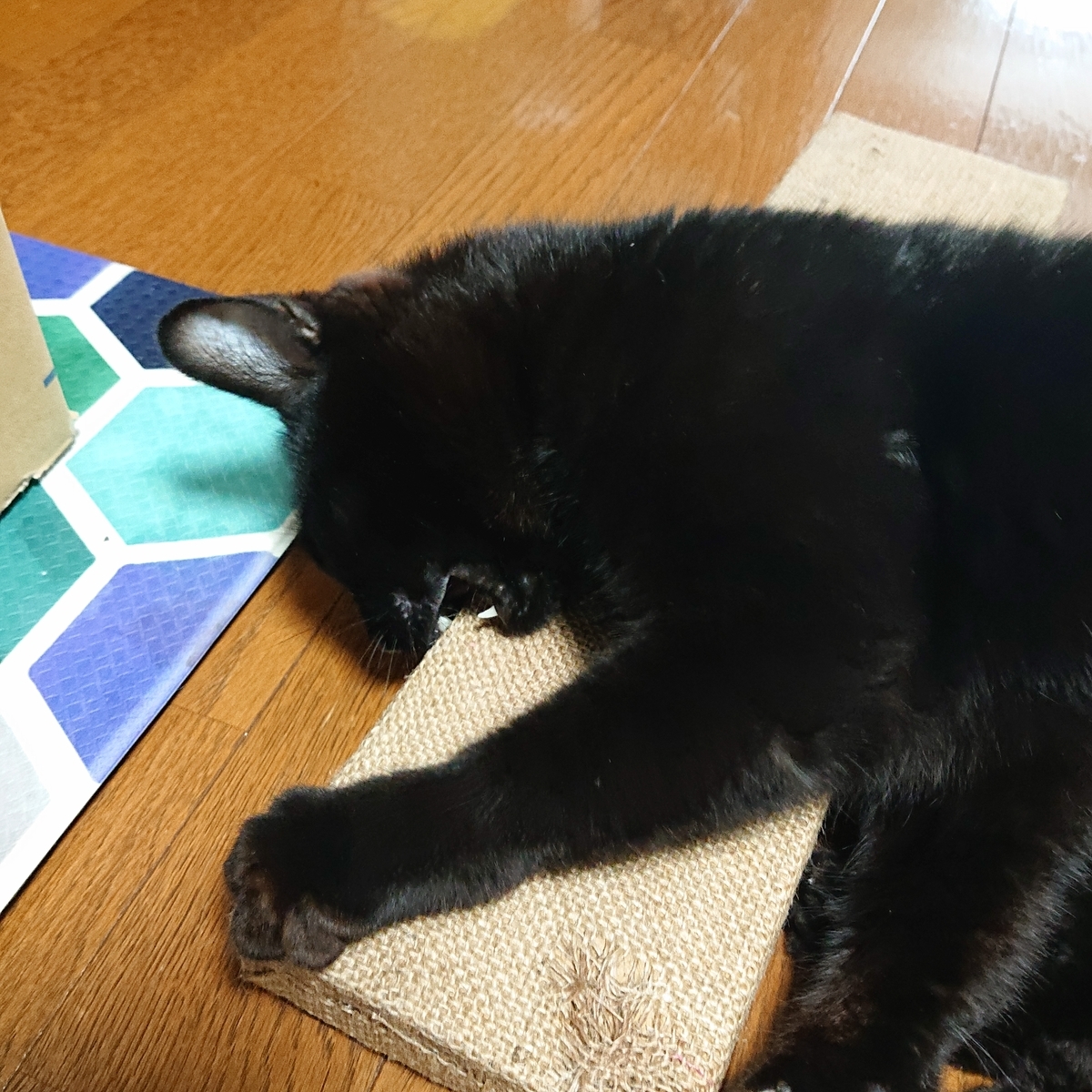 f:id:uoomee:20200504160734j:plain f:id:uoomee:20200504160734j:plain