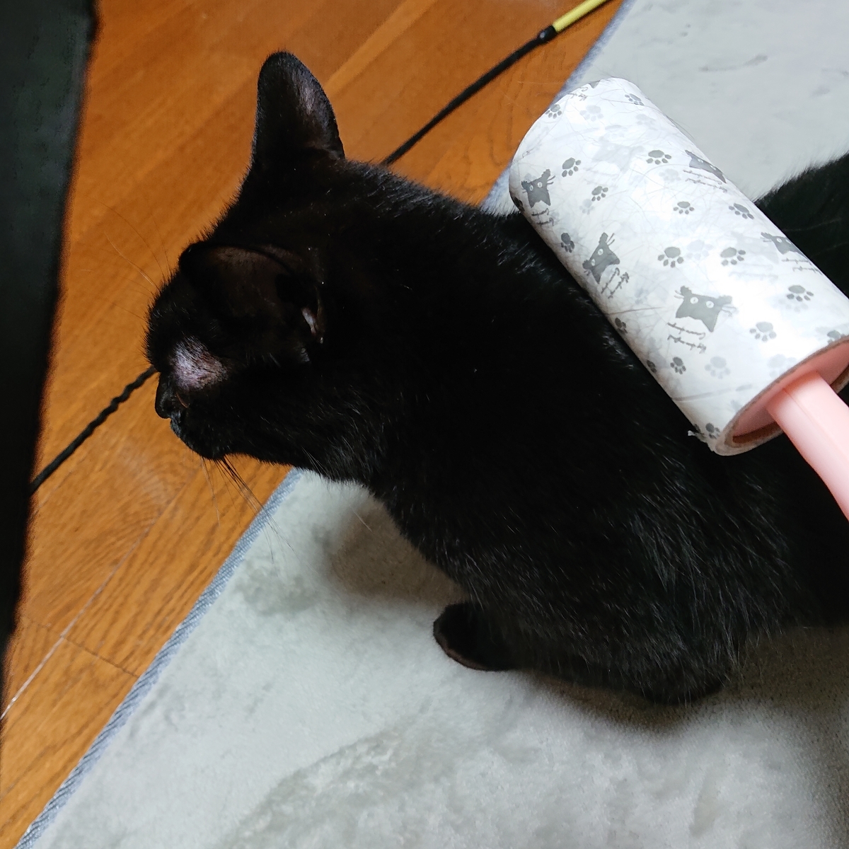 f:id:uoomee:20200505154315j:plain f:id:uoomee:20200505154315j:plain