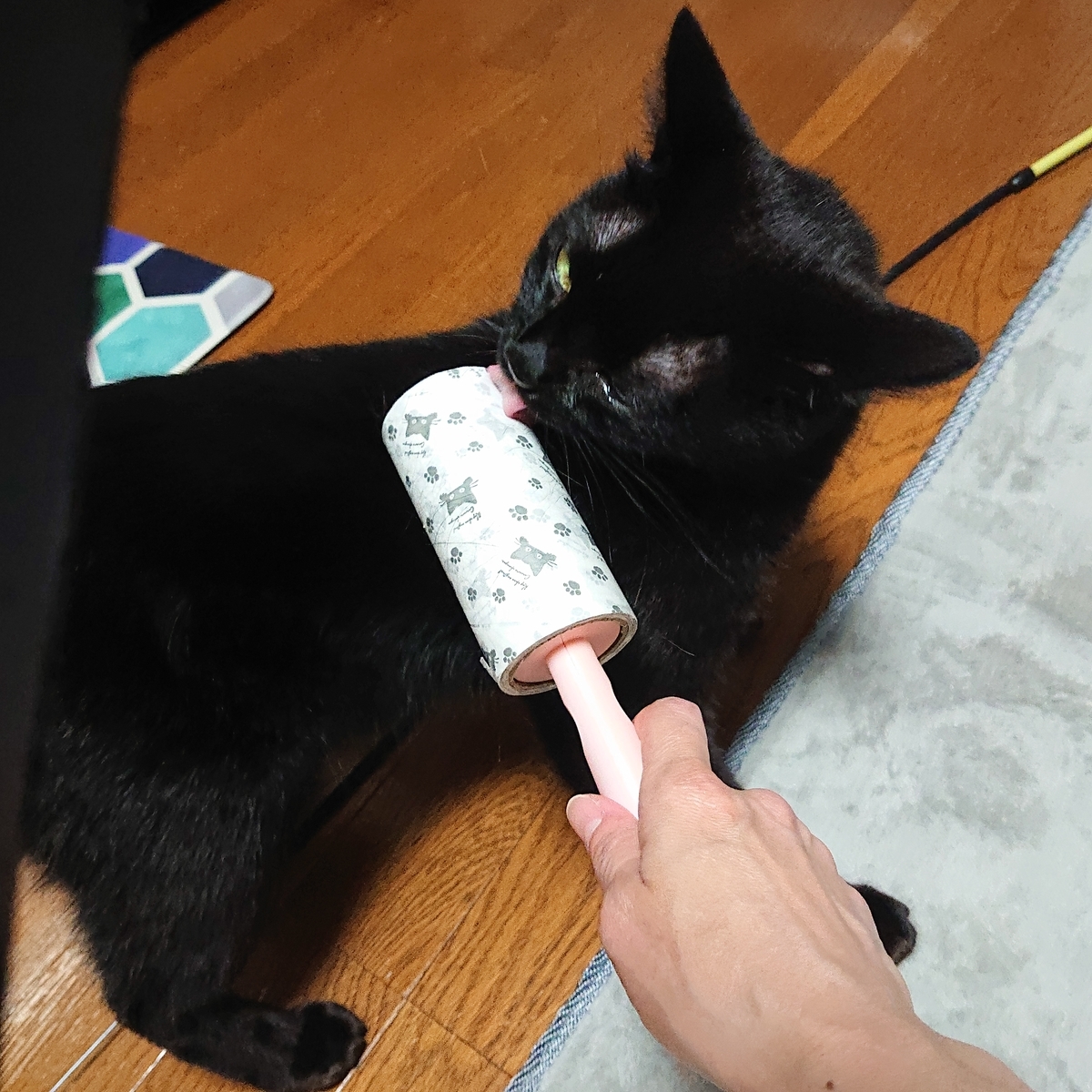 f:id:uoomee:20200505154844j:plain f:id:uoomee:20200505154844j:plain