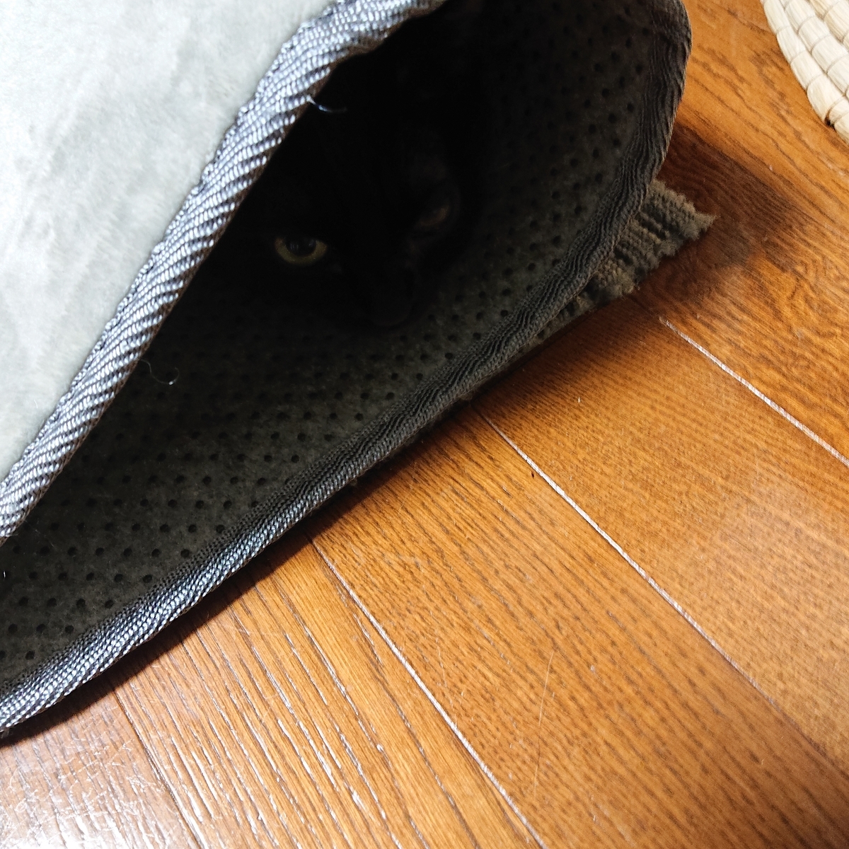 f:id:uoomee:20200506005217j:plain f:id:uoomee:20200506005217j:plain