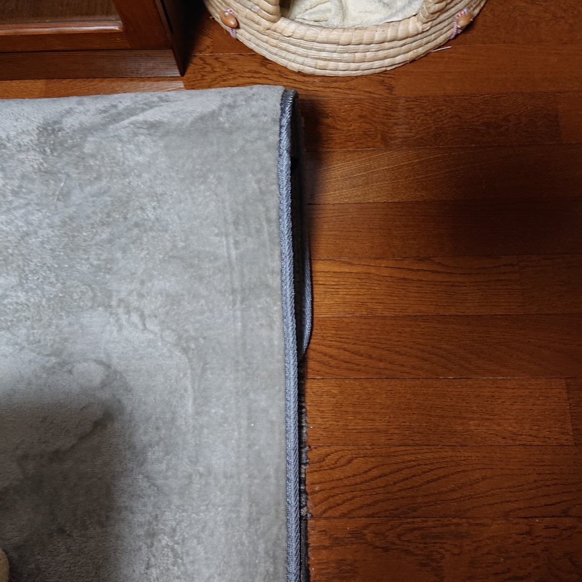 f:id:uoomee:20200506012724j:plain f:id:uoomee:20200506012724j:plain